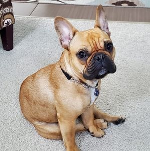 Meet your Posher, Sandra